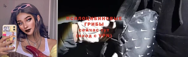 таблы Белокуриха