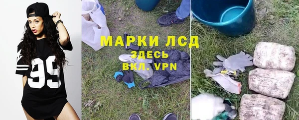 стаф Белоозёрский
