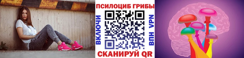 Галлюциногенные грибы Psilocybe  Заволжье 